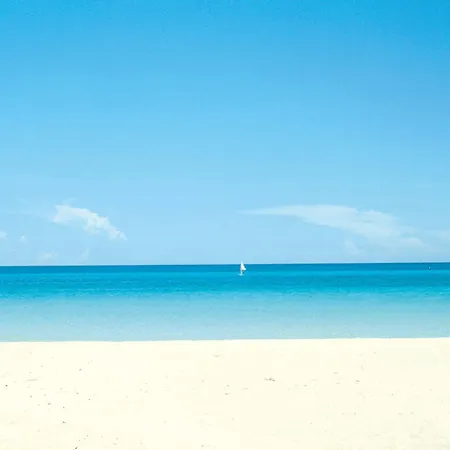 Riu Festival Hotel